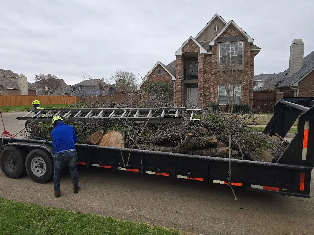 Expert Tree Fertilization with proper safety equipment in Olive Branch